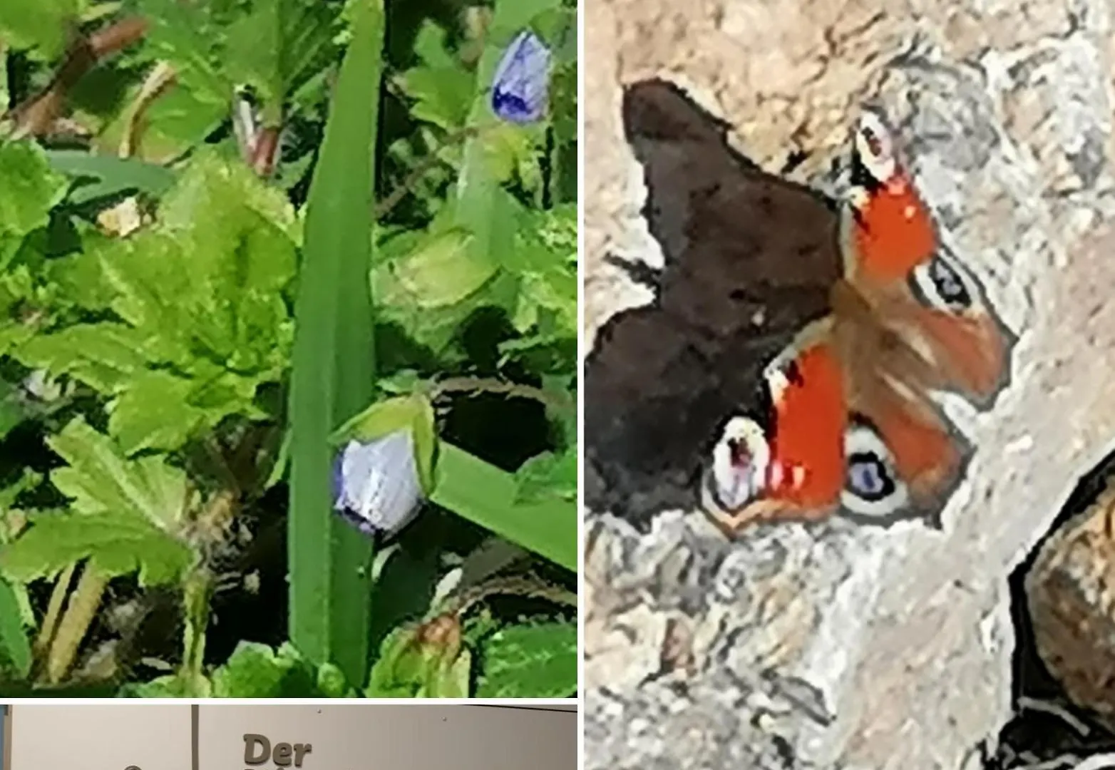 Gæstehus Kirschberghof Gaestehaus Und Weinverkauf Sommerhausen