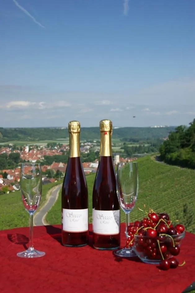 Kirschberghof Gaestehaus Und Weinverkauf Sommerhausen Tyskland